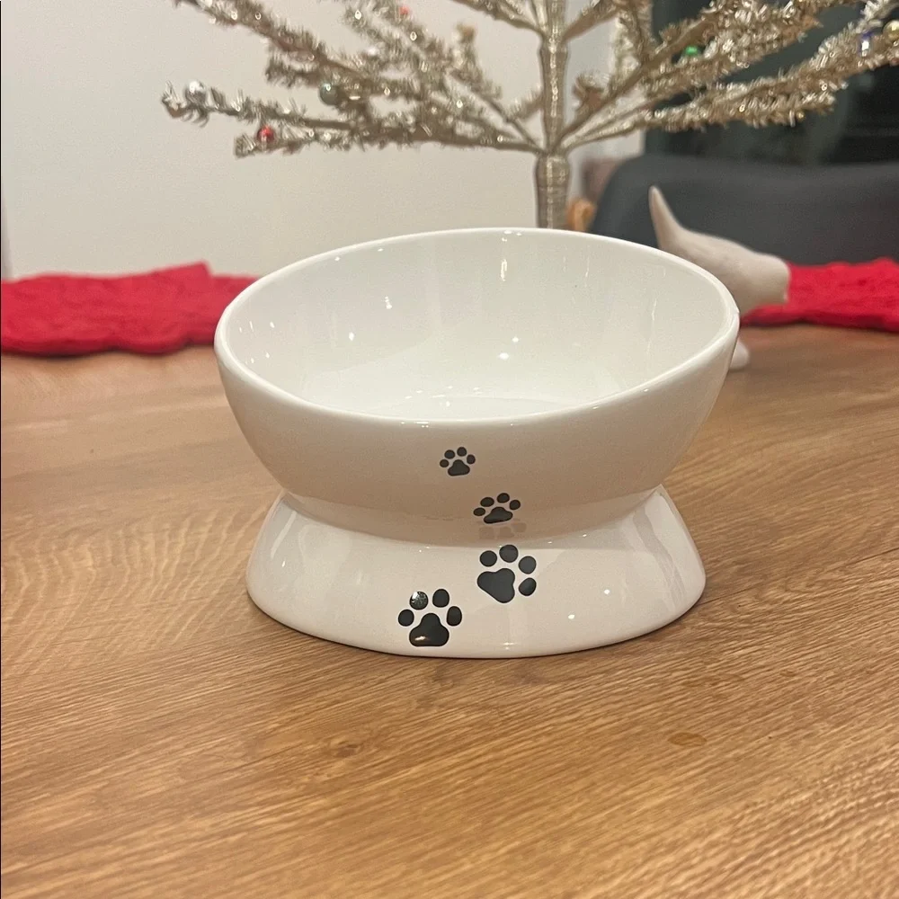 Elevated Cat Bowl with Cute Paw Design